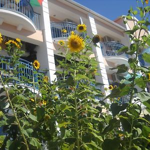 Olive Bay Hotel